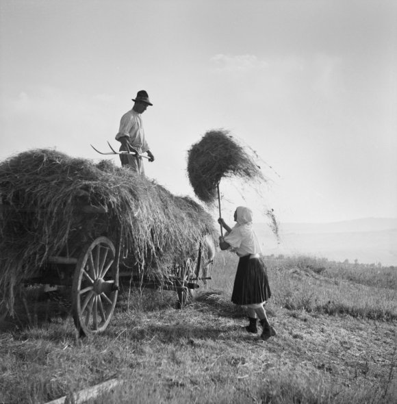 Ferdinand Bučina, z nevydané knihy Vzpomínka na Javorník, 1942