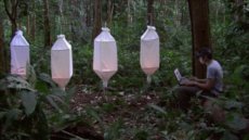 Ursula Biemann, videostills from Biosemiotic Borneo, 2016